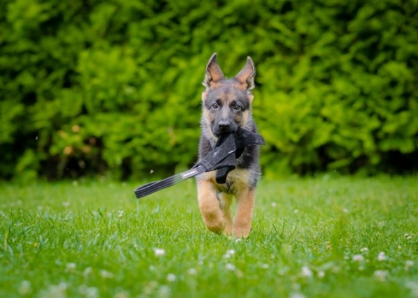 Mini Beißtuch -1 Griff-23cm